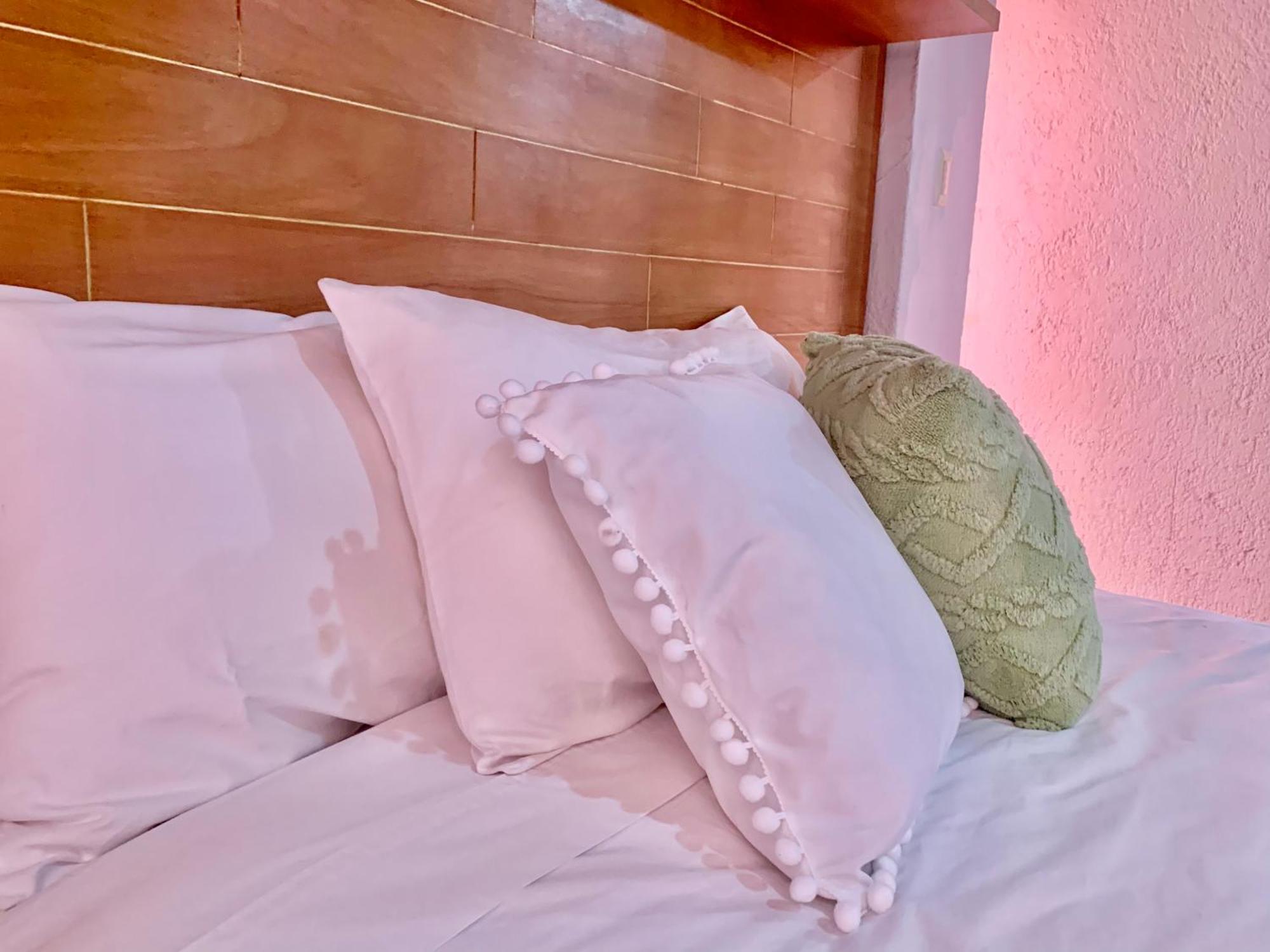 מקסיקו סיטי Villa Coyoacan מראה חיצוני תמונה