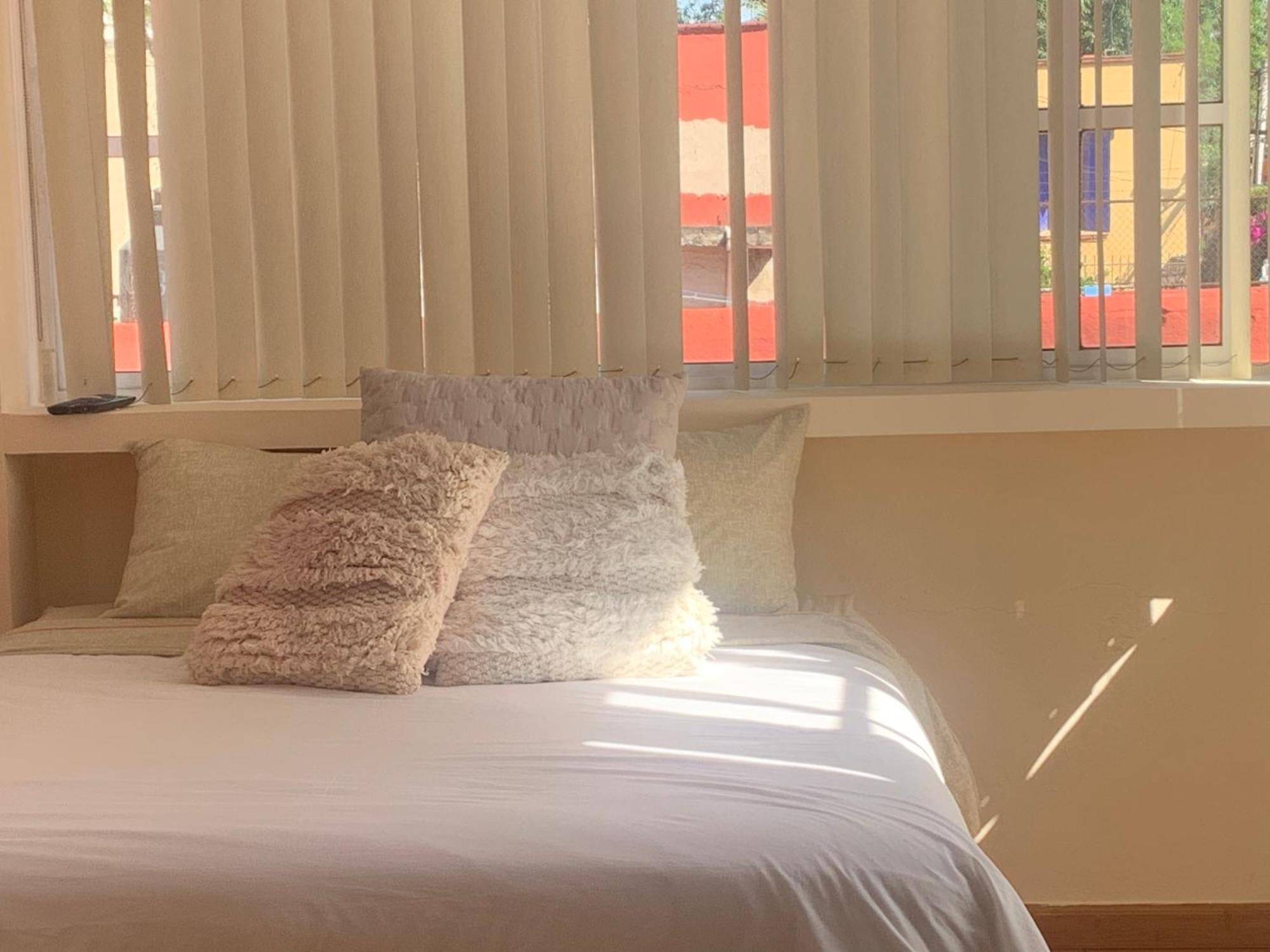 מקסיקו סיטי Villa Coyoacan מראה חיצוני תמונה