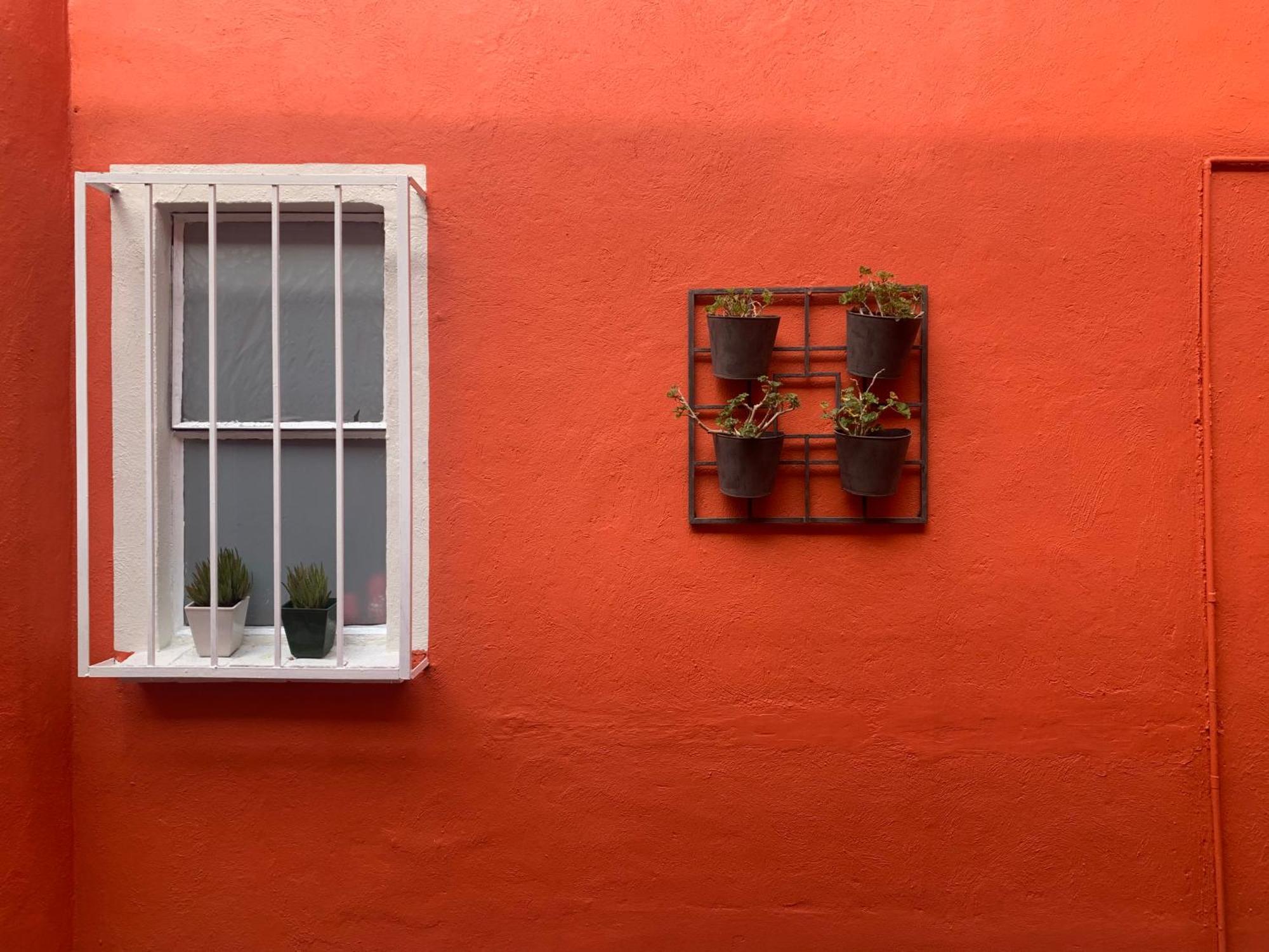 מקסיקו סיטי Villa Coyoacan מראה חיצוני תמונה