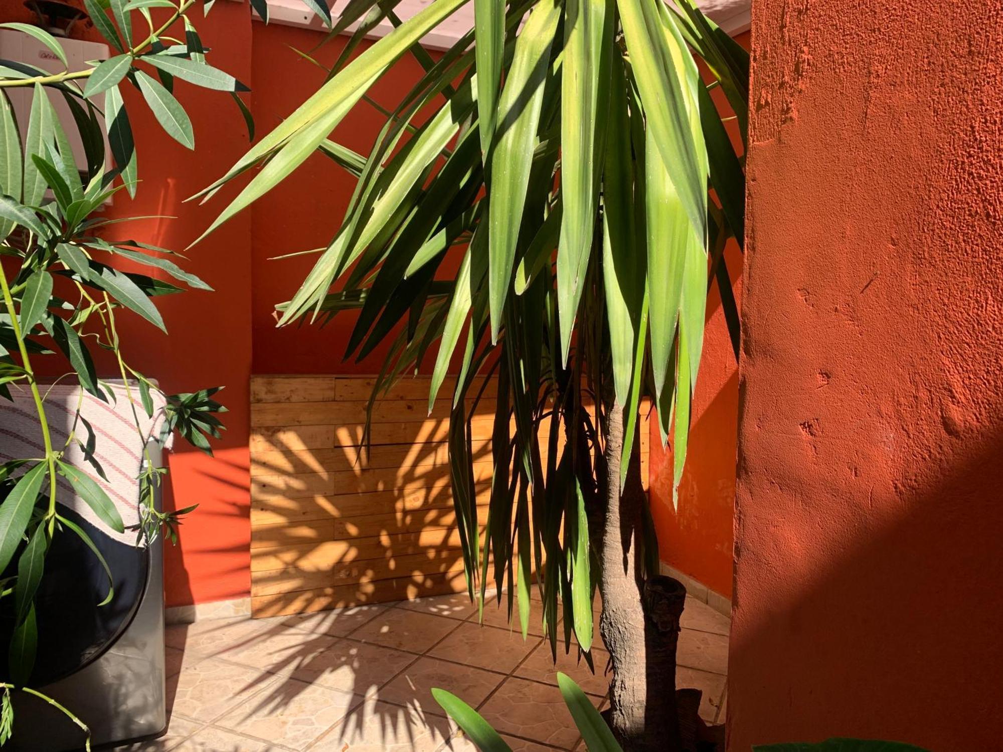 מקסיקו סיטי Villa Coyoacan מראה חיצוני תמונה