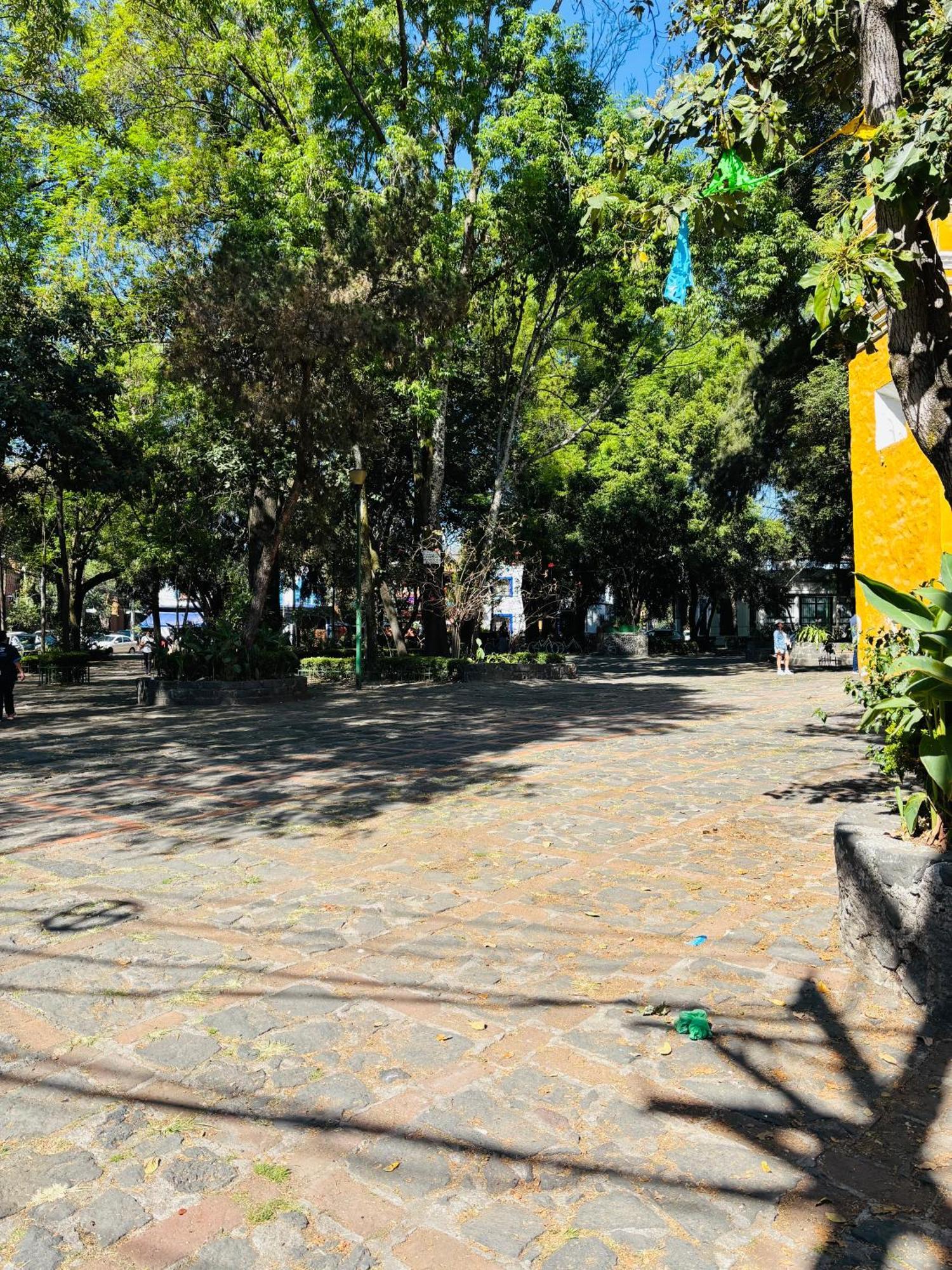 מקסיקו סיטי Villa Coyoacan מראה חיצוני תמונה